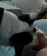 Filename=2014-TheOtherWoman-0750.jpg
Filesize=100KiB
Dimensions=1920x800
Date added=Nov 17, 2024 2014-TheOtherWoman-0750.jpg
